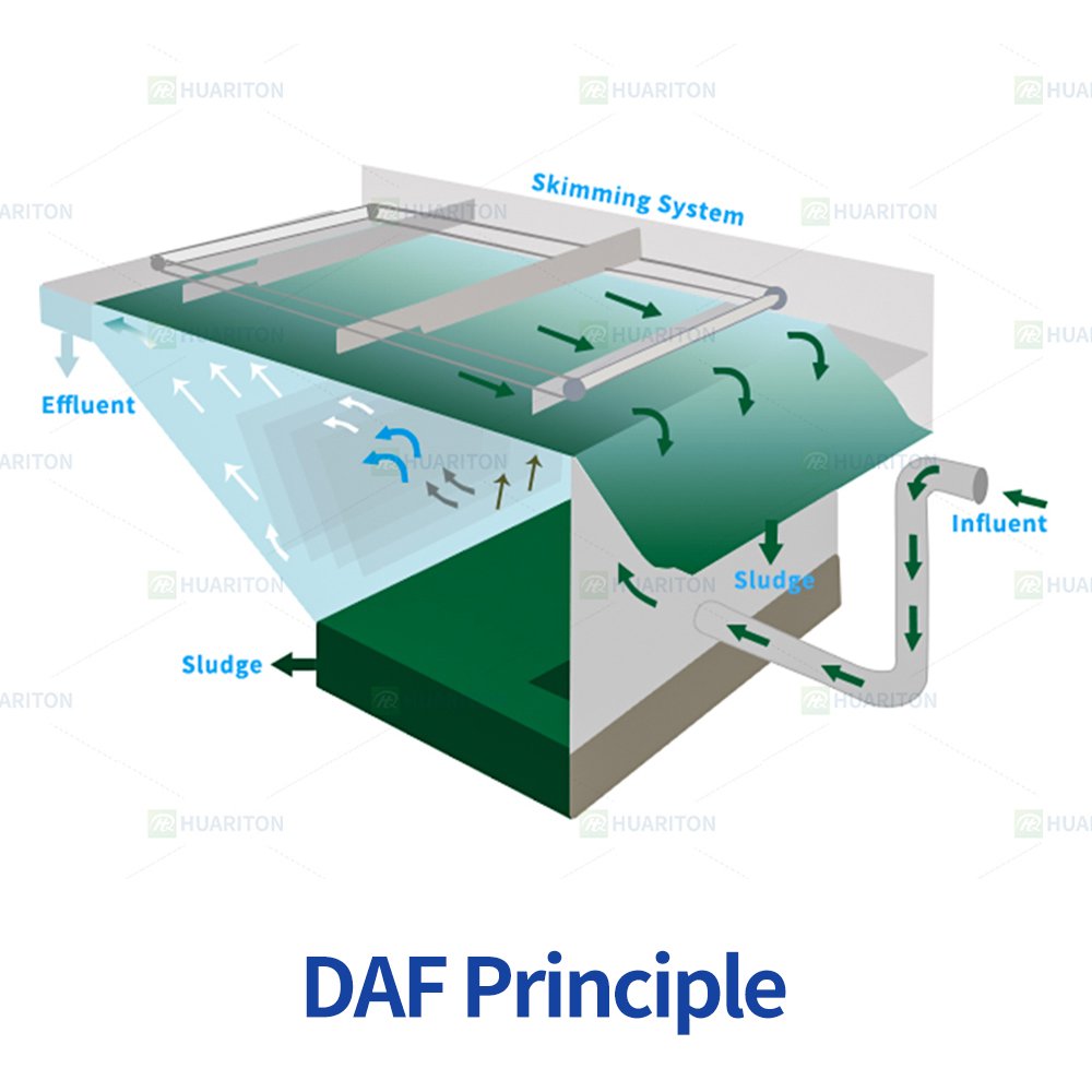 DAF Principle